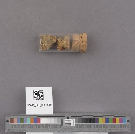 NSF ADBC EPICC TCN