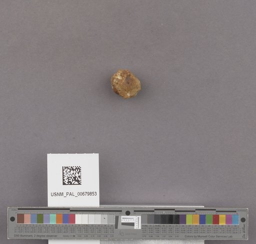 NSF ADBC EPICC TCN