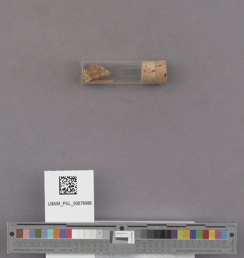 NSF ADBC EPICC TCN