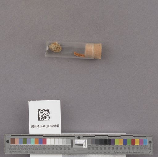 NSF ADBC EPICC TCN