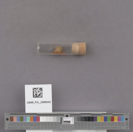 NSF ADBC EPICC TCN