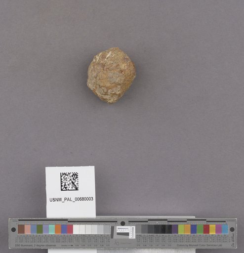 NSF ADBC EPICC TCN