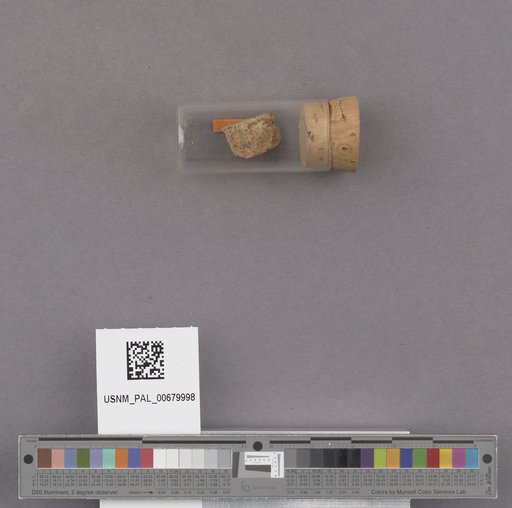 NSF ADBC EPICC TCN