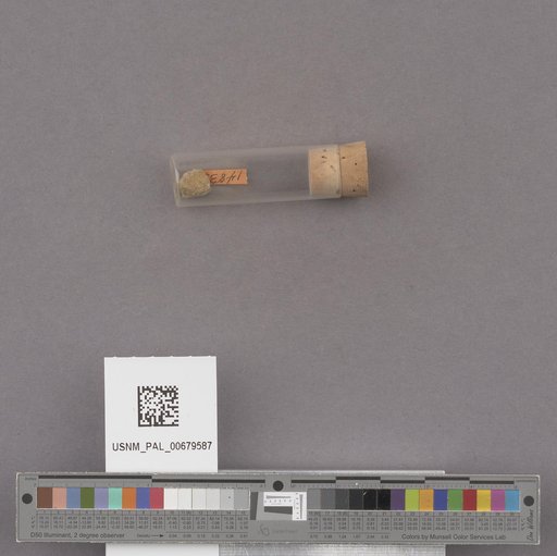 NSF ADBC EPICC TCN
