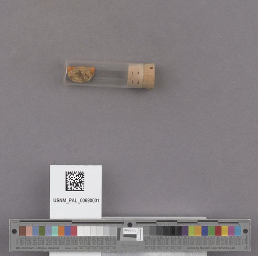 NSF ADBC EPICC TCN