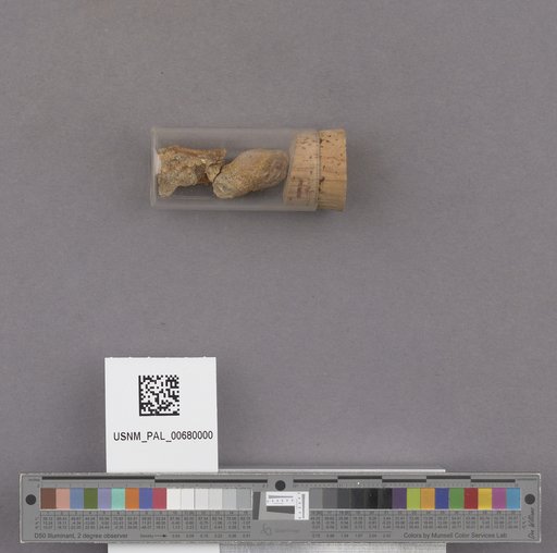 NSF ADBC EPICC TCN