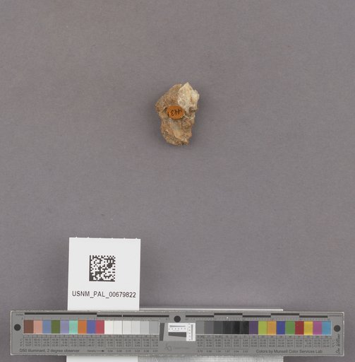 NSF ADBC EPICC TCN