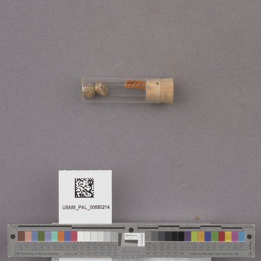 NSF ADBC EPICC TCN
