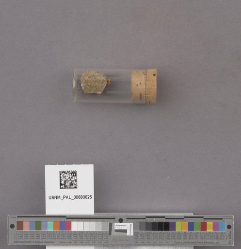 NSF ADBC EPICC TCN