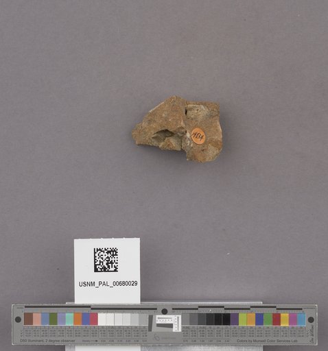 NSF ADBC EPICC TCN