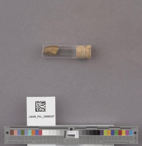 NSF ADBC EPICC TCN