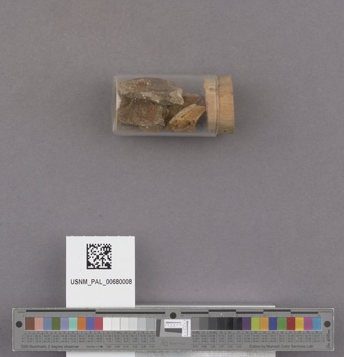 NSF ADBC EPICC TCN