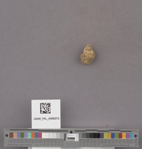 NSF ADBC EPICC TCN