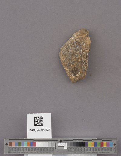 NSF ADBC EPICC TCN