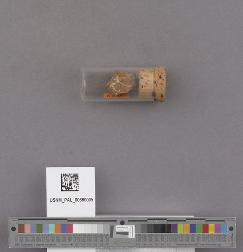 NSF ADBC EPICC TCN