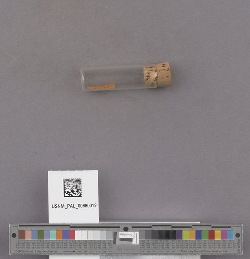 NSF ADBC EPICC TCN