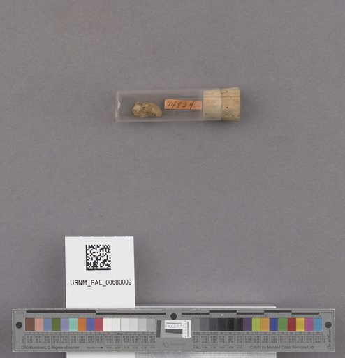 NSF ADBC EPICC TCN