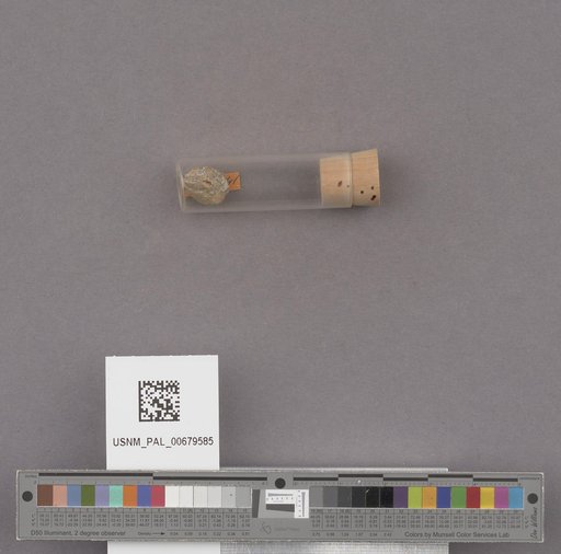 NSF ADBC EPICC TCN