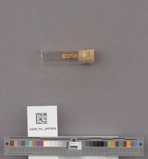 NSF ADBC EPICC TCN