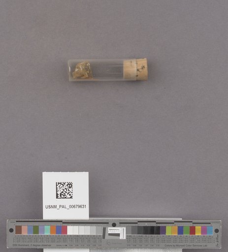 NSF ADBC EPICC TCN