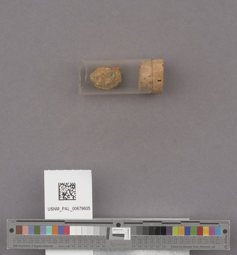 NSF ADBC EPICC TCN