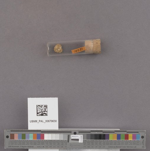 NSF ADBC EPICC TCN