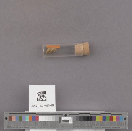 NSF ADBC EPICC TCN