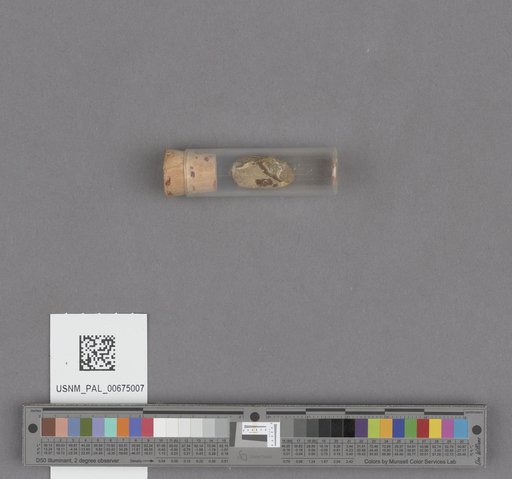 NSF ADBC EPICC TCN