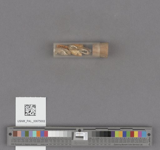 NSF ADBC EPICC TCN