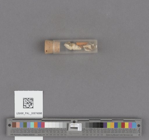 NSF ADBC EPICC TCN