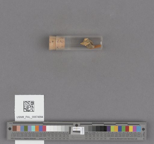 NSF ADBC EPICC TCN