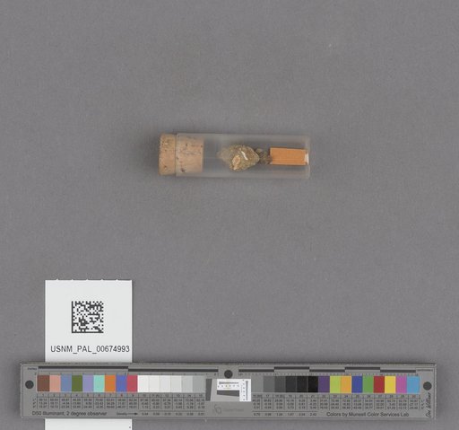 NSF ADBC EPICC TCN