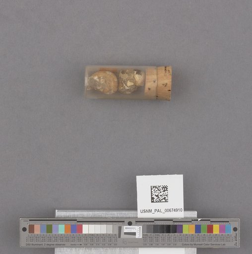 NSF ADBC EPICC TCN