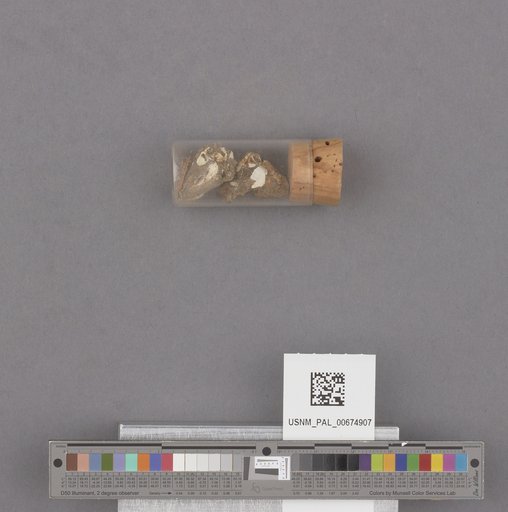 NSF ADBC EPICC TCN