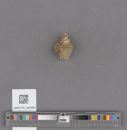 NSF ADBC EPICC TCN