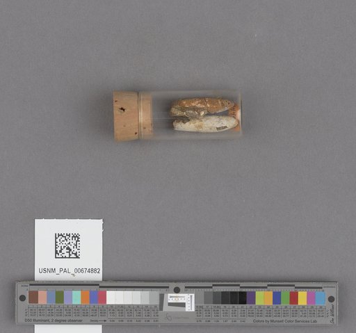 NSF ADBC EPICC TCN