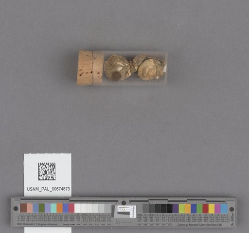NSF ADBC EPICC TCN