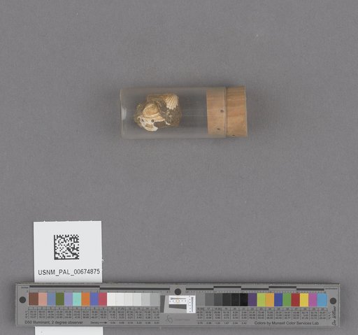 NSF ADBC EPICC TCN