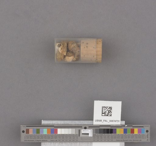 NSF ADBC EPICC TCN