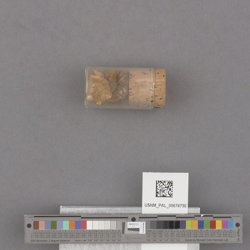 NSF ADBC EPICC TCN