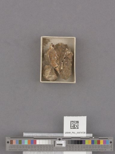 NSF ADBC EPICC TCN