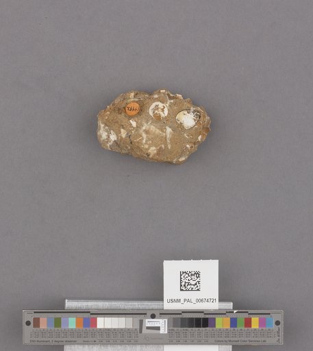 NSF ADBC EPICC TCN