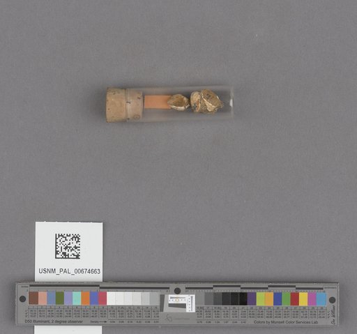 NSF ADBC EPICC TCN
