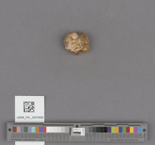 NSF ADBC EPICC TCN