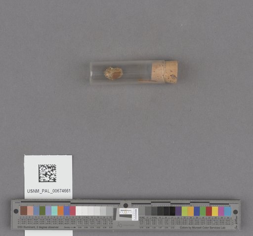 NSF ADBC EPICC TCN