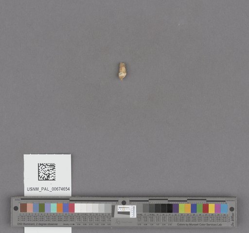 NSF ADBC EPICC TCN