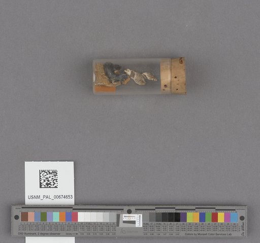 NSF ADBC EPICC TCN