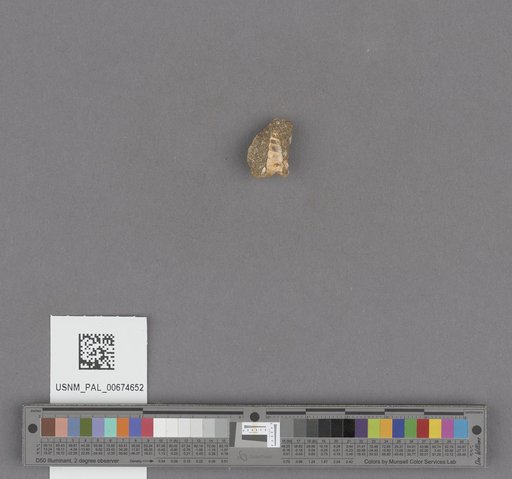 NSF ADBC EPICC TCN