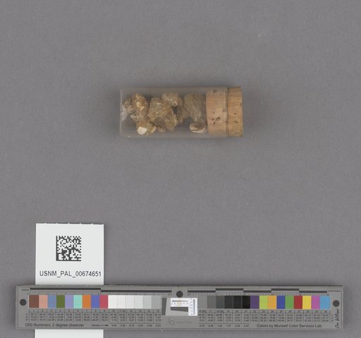 NSF ADBC EPICC TCN