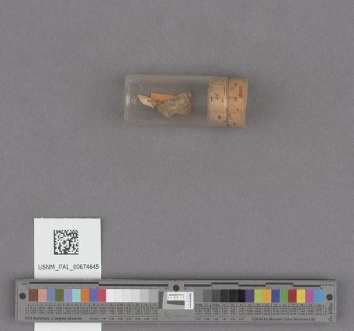 NSF ADBC EPICC TCN